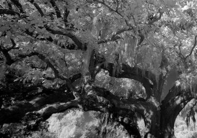 拜访者剧照的剧照