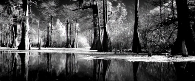 拜访者剧照的剧照