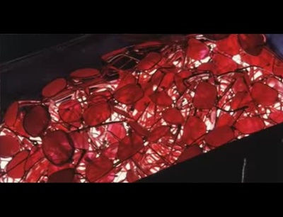 红眼镜剧照的剧照