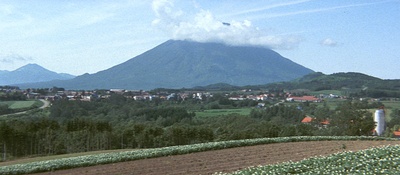 寅次郎的故事31：旅行、女伴和寅剧照的剧照