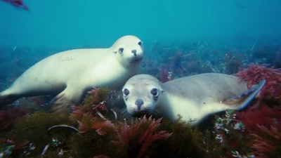 海底世界3D剧照的剧照