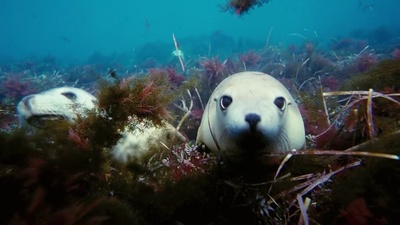 海底世界3D剧照的剧照