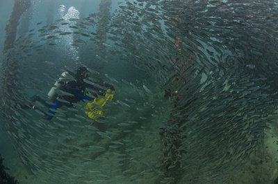 海底世界3D剧照的剧照