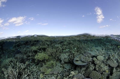 海底世界3D剧照的剧照