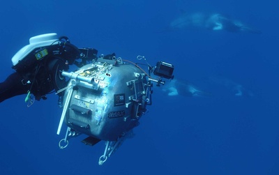 海底世界3D剧照的剧照