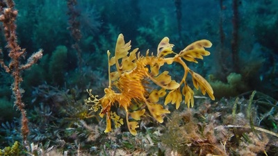 海底世界3D剧照的剧照