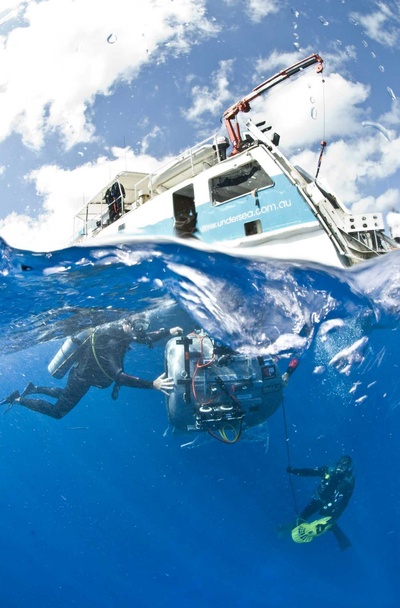 海底世界3D剧照的剧照