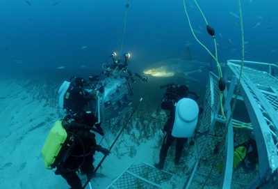 海底世界3D剧照的剧照