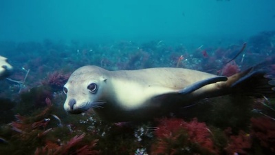 海底世界3D剧照的剧照