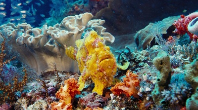 海底世界3D剧照的剧照