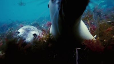 海底世界3D剧照的剧照