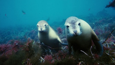 海底世界3D剧照的剧照