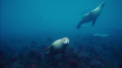 海底世界3D剧照的剧照