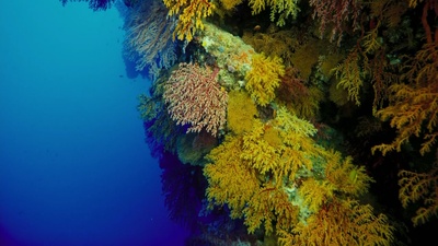 海底世界3D剧照的剧照