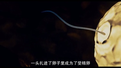 黑手党只在夏天杀人剧照的剧照