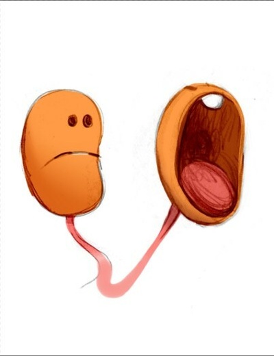 内部运作剧照的剧照