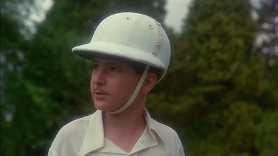 龙蛇小霸王剧照的剧照