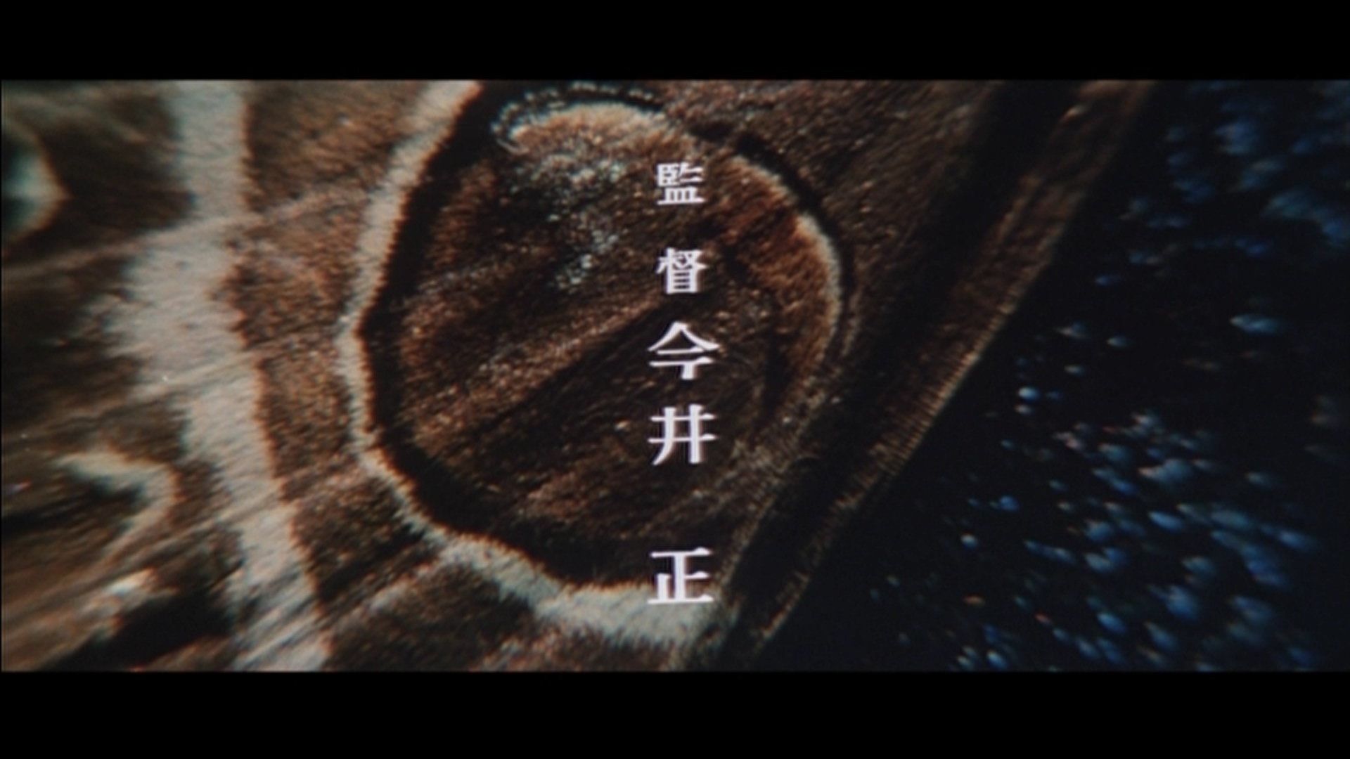 妖婆剧照的剧照