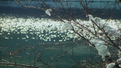 千利休：本觉坊遗文剧照的剧照