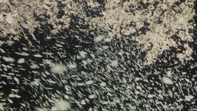 千利休：本觉坊遗文剧照的剧照