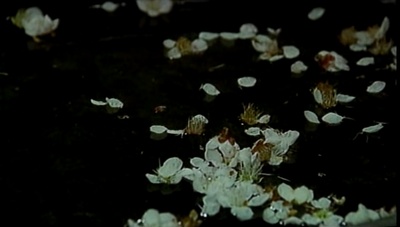 利休剧照的剧照