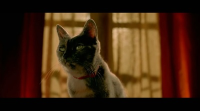 天使爱美丽剧照的剧照