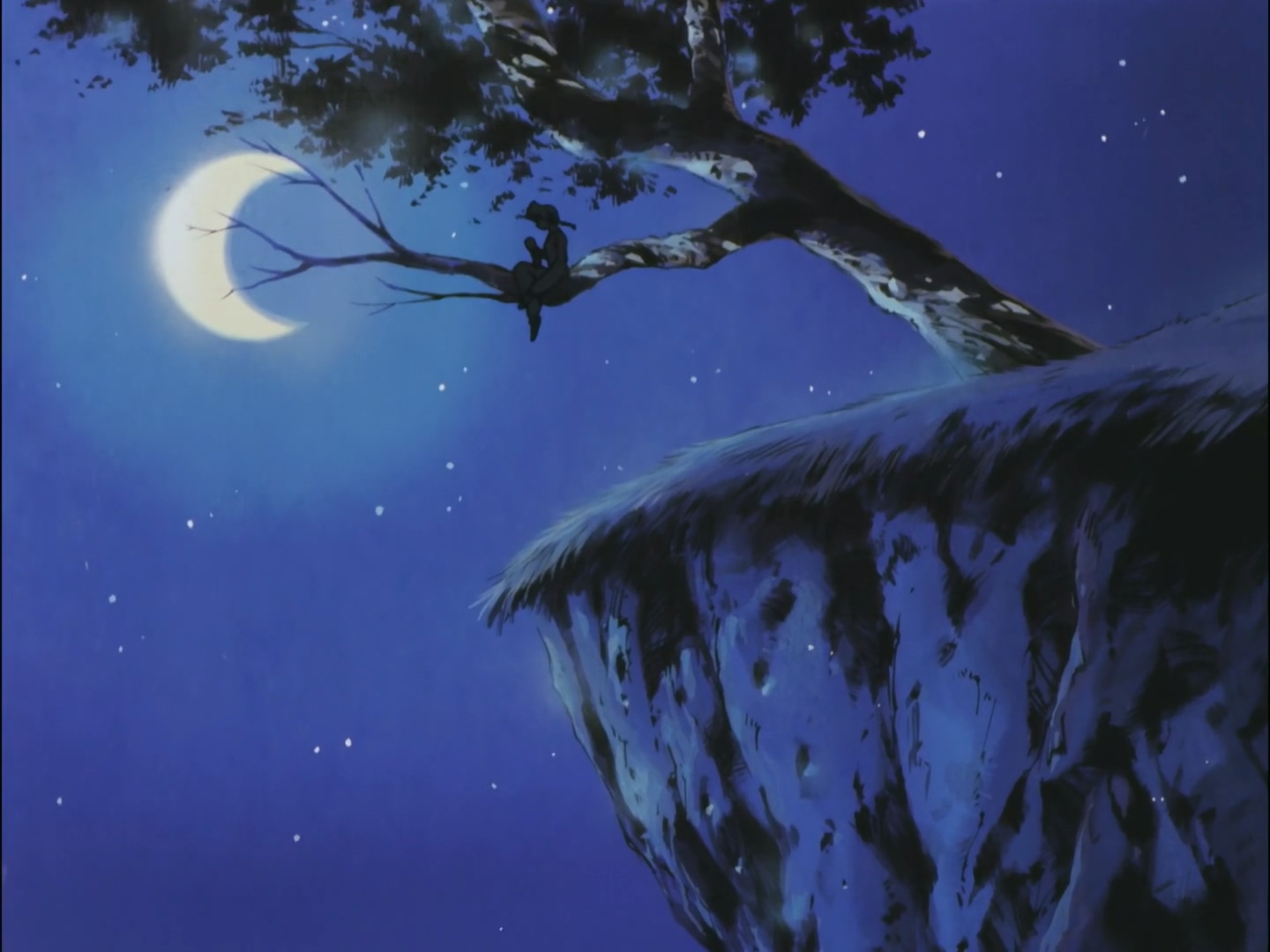 乱马1/2 两个小茜剧照的剧照