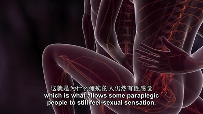 情侣性爱指南剧照的剧照