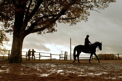 神驹贾鲁普剧照的剧照
