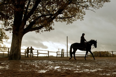 神驹贾鲁普剧照的剧照