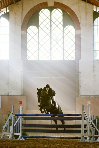 神驹贾鲁普剧照的剧照