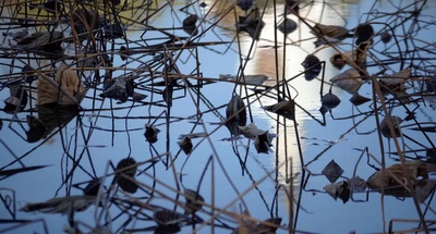 掬水月在手剧照的剧照