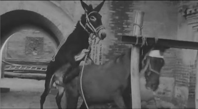 鬼子来了剧照的剧照