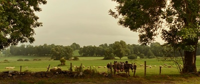 新纽扣战争剧照的剧照