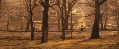 情书剧照的剧照