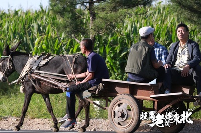 旺角老炮闯东北剧照的剧照