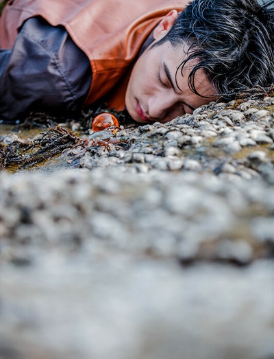 美人鱼村剧照的剧照