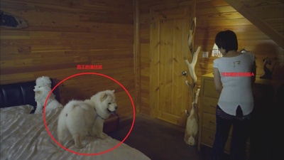 蝙蝠别墅剧照的剧照