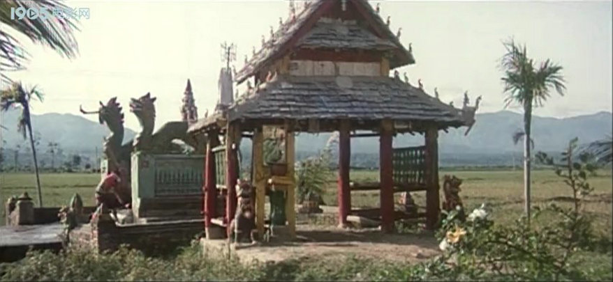 台湾情侣的奇遇剧照的剧照