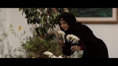 芳香之城传奇剧照的剧照