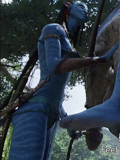 阿凡达剧照的剧照