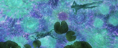 阿凡达剧照的剧照