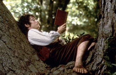 指环王1：魔戒再现剧照的剧照