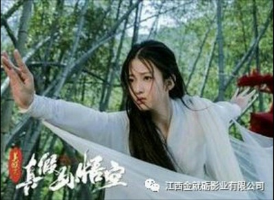 美猴王之真假孙悟空剧照的剧照