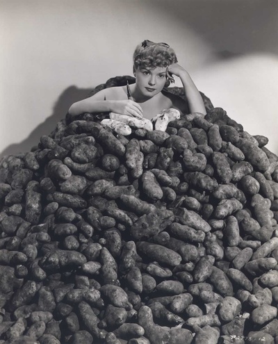 大明星从军记剧照的剧照