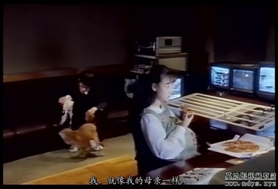 相会在梦中剧照的剧照