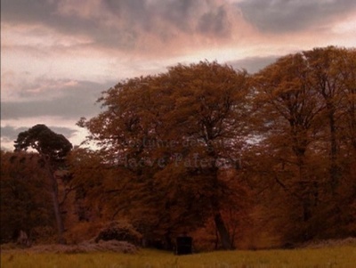 荣誉之地剧照的剧照