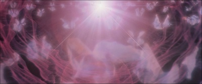 尖端大风暴剧照的剧照