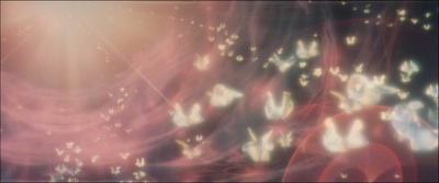 尖端大风暴剧照的剧照