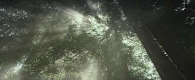 大瑟尔剧照的剧照